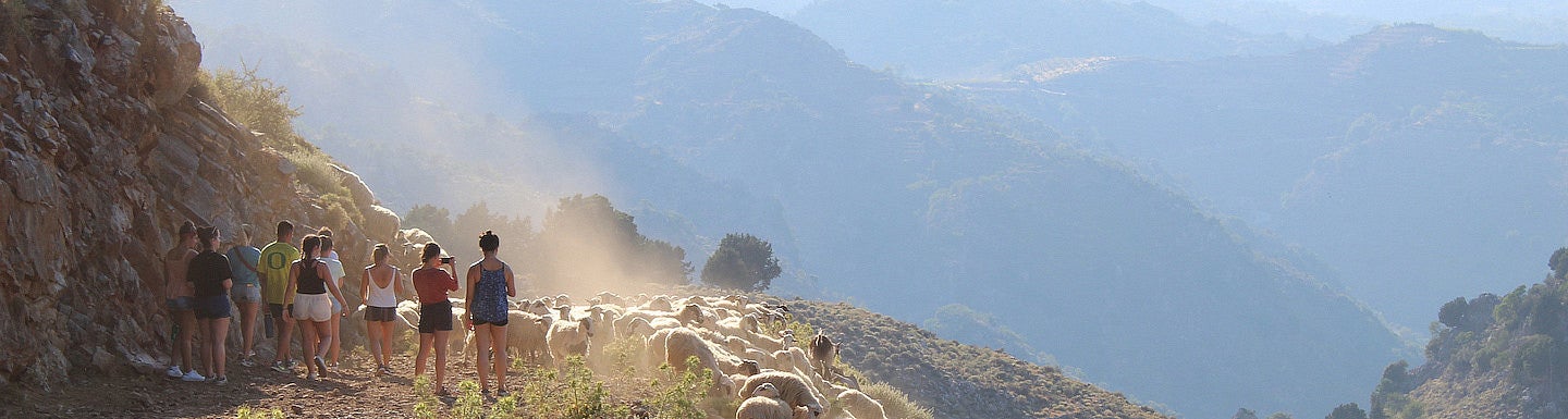 students on a study abroad trip working in the field