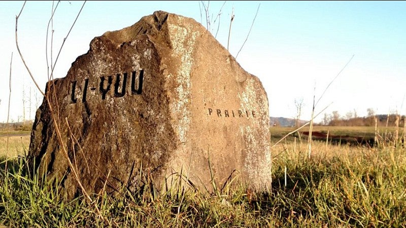 NILI supports and strengthens language preservation and revitalization efforts